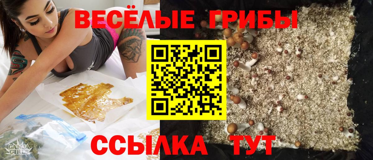 Псилоцибиновые грибы Psilocybine cubensis  Вход с VPN  дарнет шоп  Галлюциногенные грибы Magic Shrooms  Верхний Уфалей 