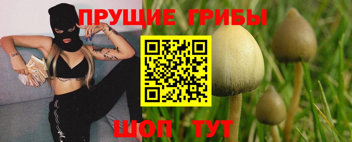 Псилоцибиновые грибы мицелий Верхний Уфалей